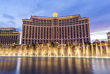 Bellagio at dusk with fountains, The Strip, Las Vegas, Nevada, United States of America, North America 