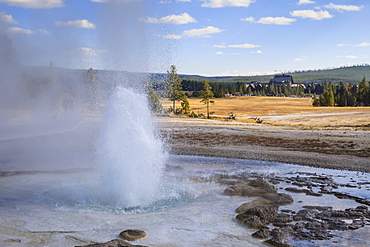 Erupting geyser and Old Faithful Inn, Upper Geyser Basin, Yellowstone National Park, UNESCO World Heritage Site, Wyoming, United States of America, North America