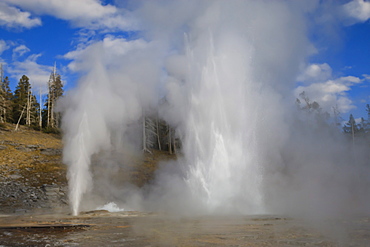Turban, Vent and Grand Geysers erupt, Upper Geyser Basin, Yellowstone National Park, UNESCO World Heritage Site, Wyoming, United States of America, North America