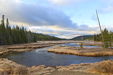 Lewis River meanders in the early morning;, Yellowstone National Park, UNESCO World Heritage Site, Wyoming, United States of America, North America