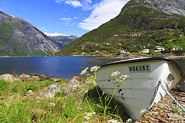 Rowing boat and cow parsley on the shore of Eidfjorden, Eidfjord, Hordaland, Hardanger, Norway, Scandinavia, Europe