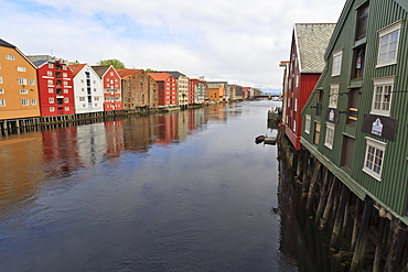 Colourful wooden warehouses on wharves beside the Nidelva River, Trondheim, Sor-Trondelag, Norway, Scandinavia, Europe