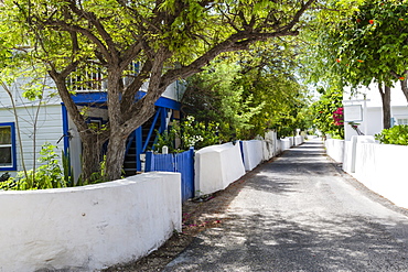 Street with trees, white wooden houses and whitewashed walls, Cockburn Town, Grand Turk, Turks and Caicos, West Indies, Caribbean, Central America