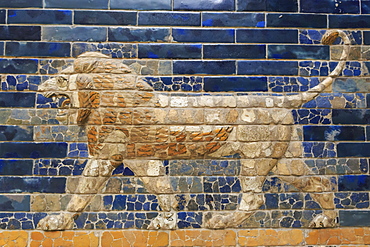 Blue glazed bricks with lion relief, Ishtar Gate (Babylon), Pergamonmuseum (Pergamon Museum), Museum Island, Berlin, Germany, Europe