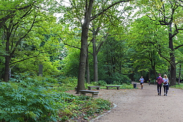 Running and strolling amongst the trees on an autumn evening in Tiergarten Park, Berlin, Germany, Europe