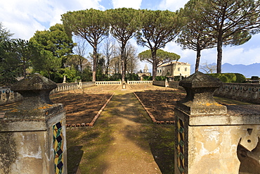 Rose Terrace in spring, Gardens of Villa Cimbrone, Ravello, Costiera Amalfitana (Amalfi Coast), UNESCO World Heritage Site, Campania, Italy, Europe