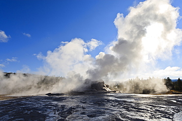 Castle Geyser steam blocks sun, Upper Geyser Basin, Yellowstone National Park, UNESCO World Heritage Site, Wyoming, United States of America, North America 