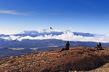 Hikers watch a condor (Vultur gryphus), Ferrier Vista Point, eastern flank of Pingo Valley, Torres del Paine National Park, Patagonia, Chile, South America 