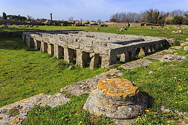 Gymnasium with swimming pool, Paestum, Ancient Greek archaeological site, UNESCO World Heritage Site, Campania, Italy, Europe