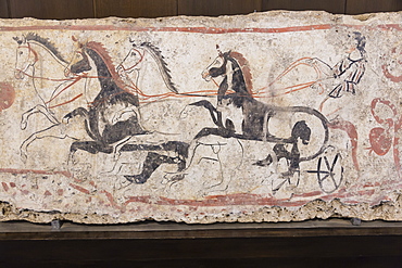 Charioteer and horses, painted tomb slab detail, National Archaeological Museum, Paestum, UNESCO World Heritage Site, Campania, Italy, Europe