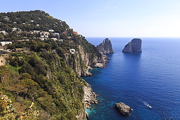 View to limestone pinnacles of Faraglioni rocks from Giardini di Augusto, with spring flowers and boat, Capri Town, Capri, Italy, Mediterranean, Europe