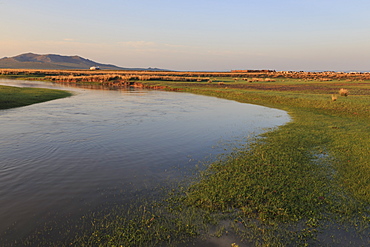 River flows past ger, stock pen and herd lit by summer sunrise, distant hills, Nomad camp, Gurvanbulag, Bulgan, Mongolia, Central Asia, Asia