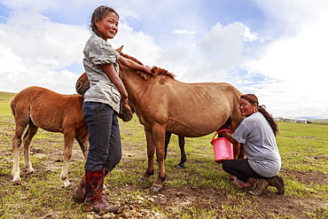 Lady milks mare (horse), daughter holds foal, Summer nomad camp, Khujirt, Uvurkhangai (Ovorkhangai), Central Mongolia, Central Asia, Asia