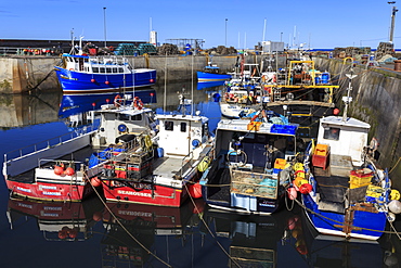 Colourful fishing boats in harbour on a sunny summer evening, Seahouses, Northumberland, England, United Kingdom, Europe