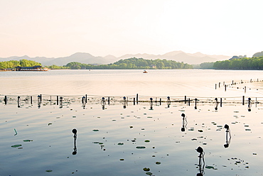 West Lake at dusk, Hangzhou, Zhejiang, China, Asia 