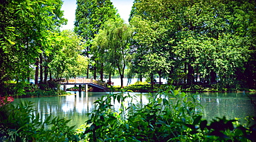 Secluded stone bridge surrounded by lush landscape at West Lake, Hangzhou, Zhejiang, China, Asia