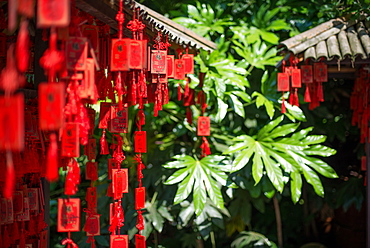 Red wooden Buddhist good luck charms and tropical vegetation, Hangzhou, Zhejiang, China, Asia