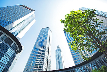 Low wide angle view of a group of new skyscrapers combined with fresh greenery in Jianggan, Hangzhou, Zhejiang, China, Asia