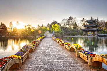 Suocui Bridge and Moon Embracing Pagoda at Lijiang's Heilongtan/Black Dragon Pool.