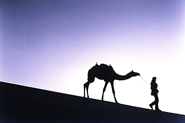 Camel and Owner Walking in Desert