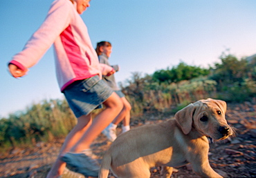 Two Girls Running with Golden Retriever