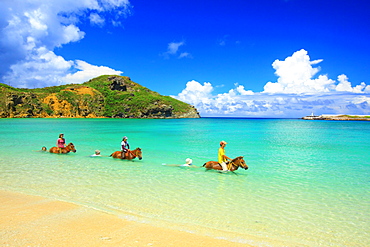 Yonaguni Horses, Okinawa