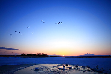 Tofutsuko And Swan, Hokkaido, Japan