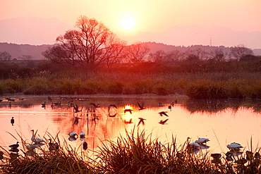 Miyagi Prefecture, Japan