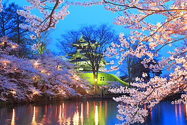 Yozakura Takada, Niigata Prefecture, Japan