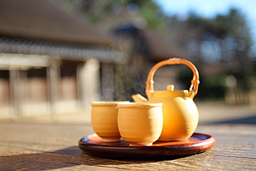 Teapot and Yunomi