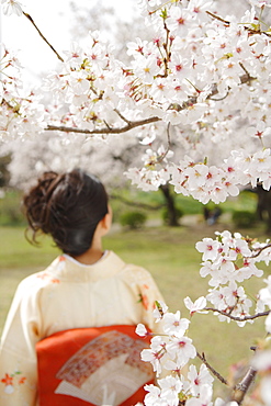 Woman Wearing Kimono Standing in Park