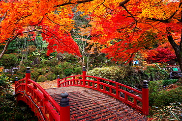 Shizuoka Prefecture, Japan