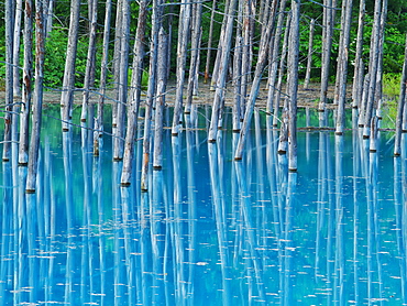 Hokkaido, Japan