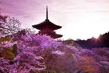 Kyoto, Japan