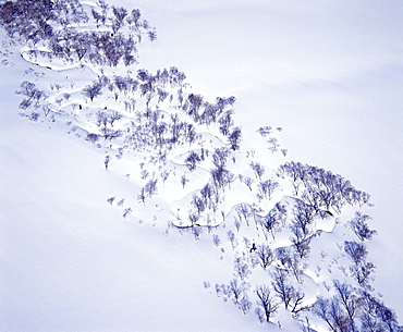 Oze, Gunma Prefecture, Japan