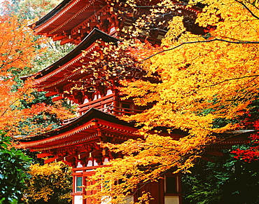 Kyoto, Japan