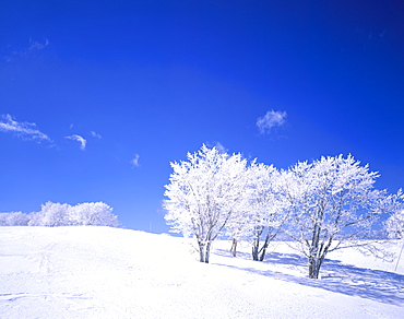 Nagano Prefecture, Japan