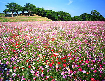 Tenkaiho Observatory, Nagasaki, Japan