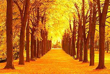 Sanssouci Park, Germany