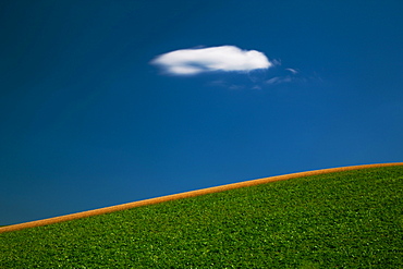 Biei, Hokkaido, Japan