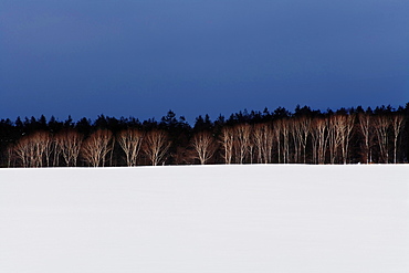 Hokkaido, Japan