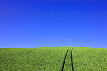 Biei, Hokkaido, Japan