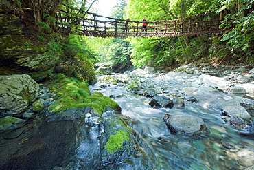 Nijukazura Bridge, Tokushima, Japan