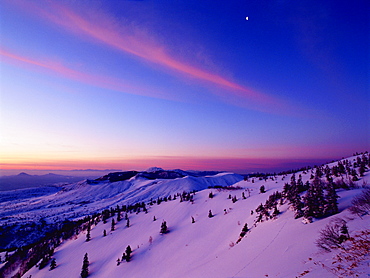 Shibu Gap, Nagano, Japan