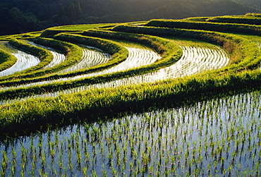 Koshihata, Kyoto, Japan