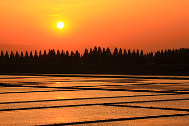 Sunset, Saitama, Japan