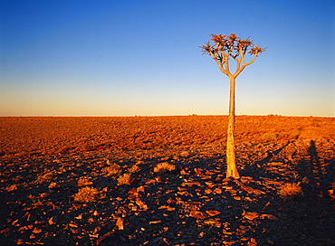 Fish River Canyon National Park, Namibia