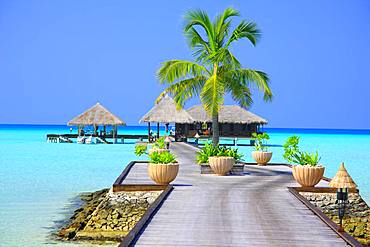 Maldives