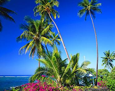 St Peter's Church, Hawaii