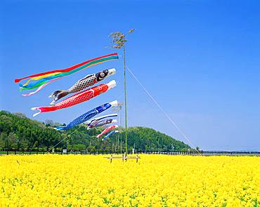 Higashiomi, Shiga, Japan